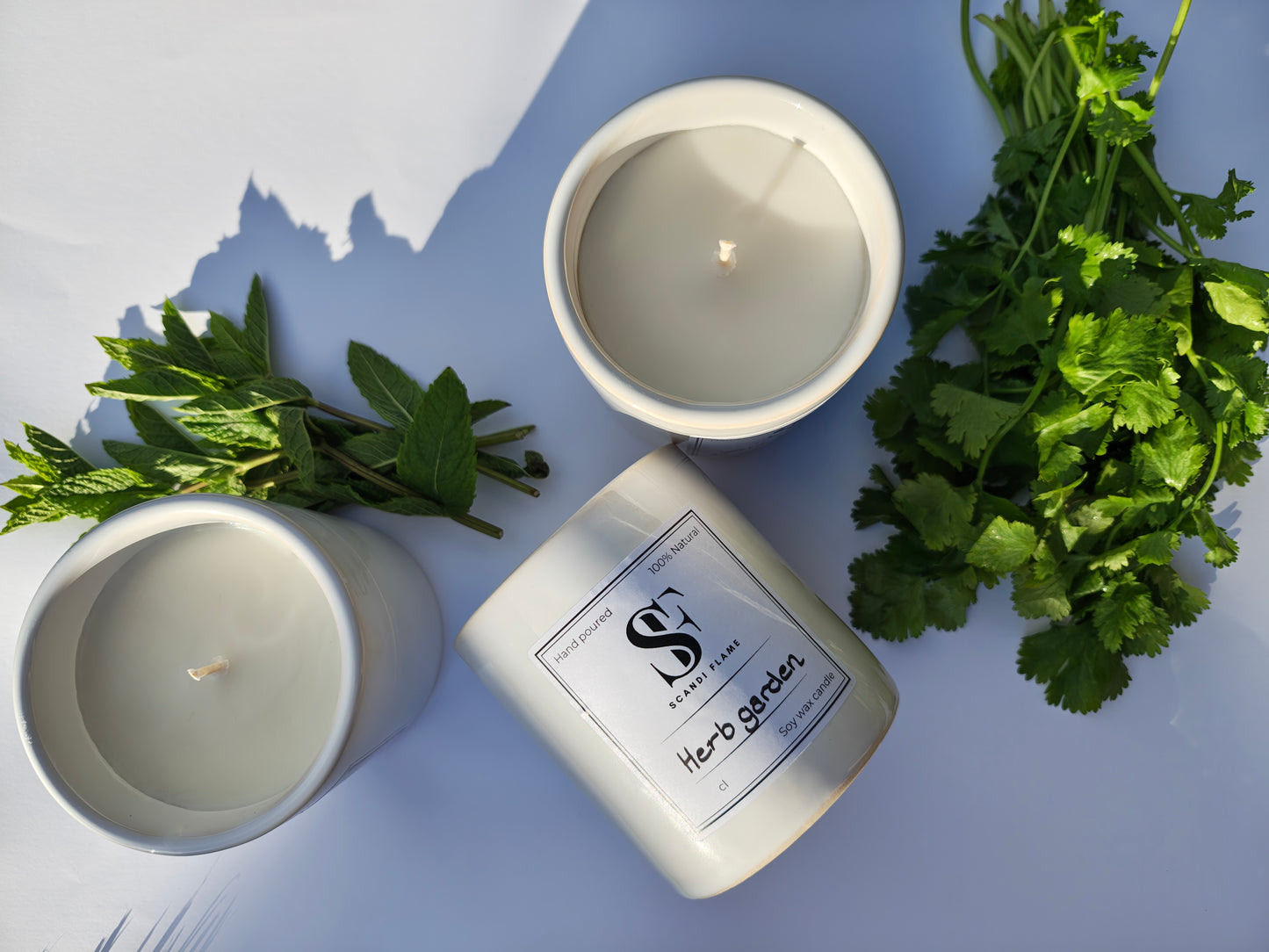 Herb Garden in ceramic jar